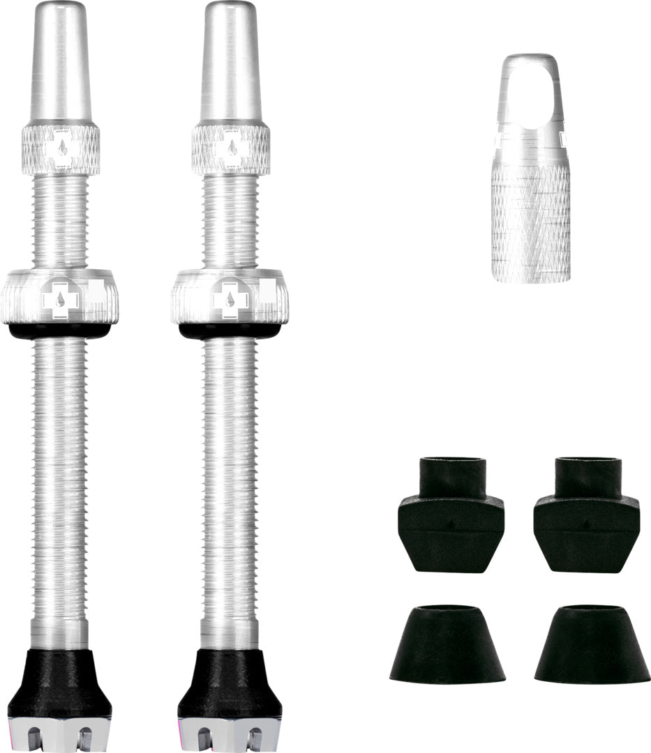 V2 Tubeless Valve Kit /silver