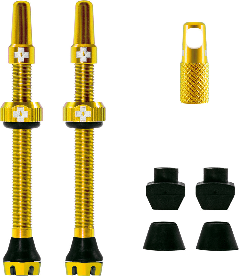 V2 Tubeless Valve Kit /gold