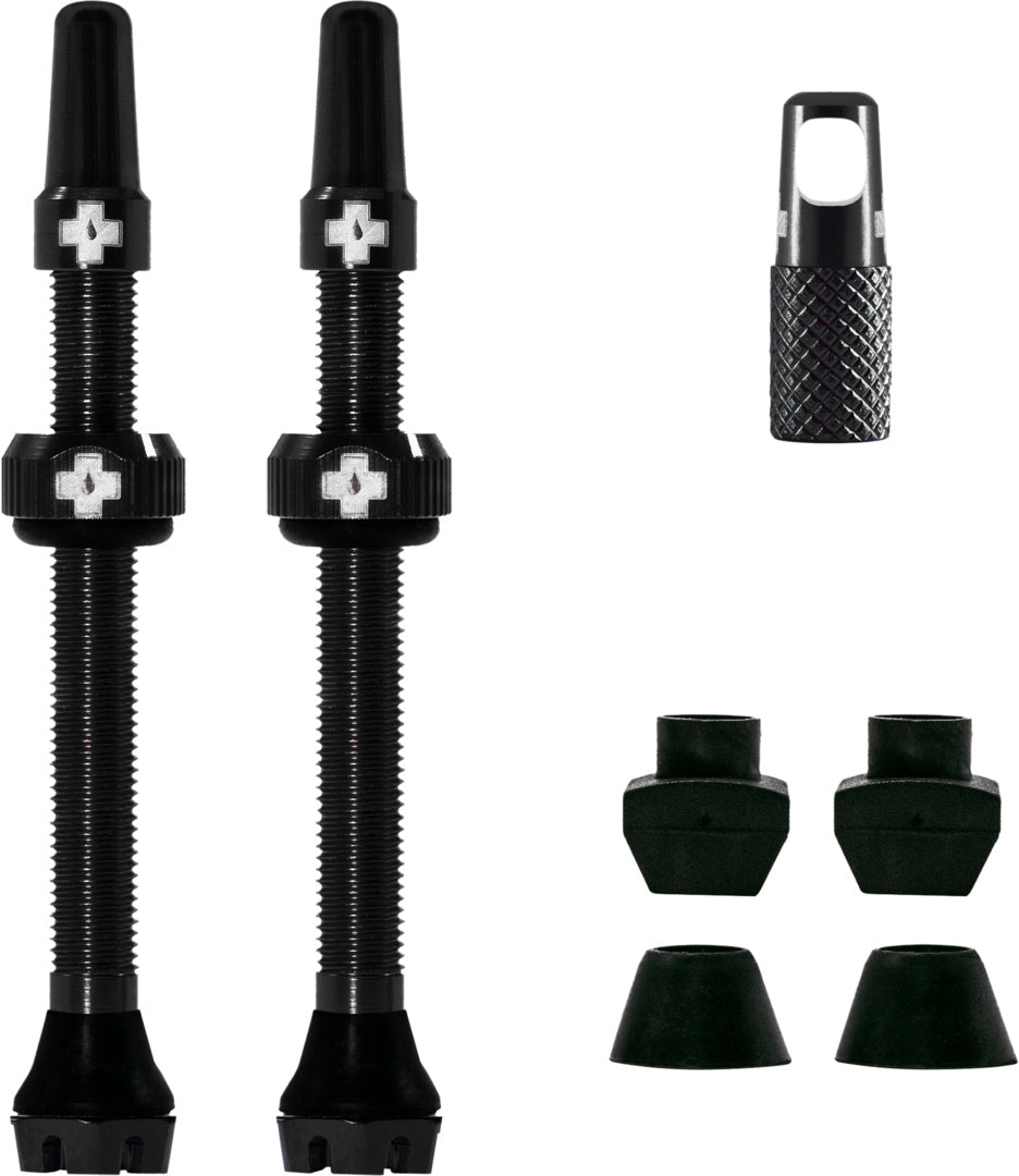 V2 Tubeless Valve Kit /black