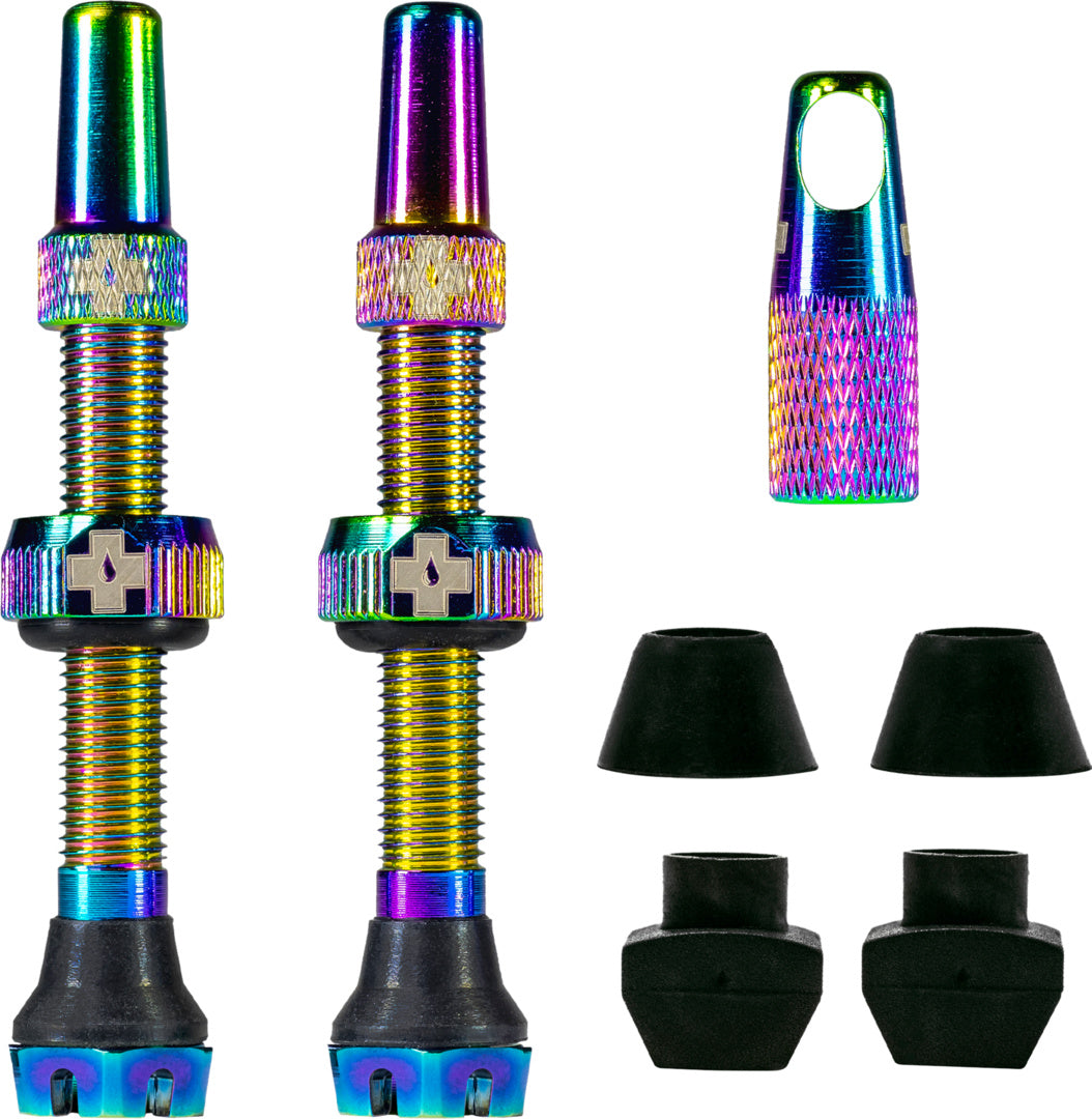 V2 Tubeless Valve Kit /iridescent