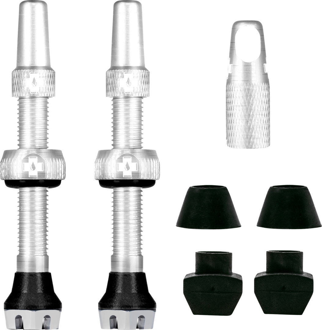 V2 Tubeless Valve Kit /silver