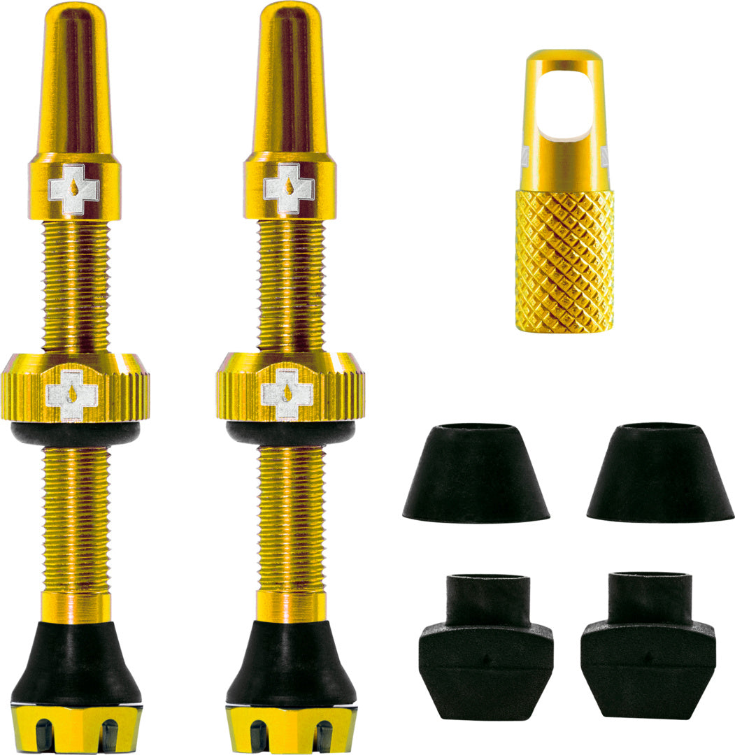 V2 Tubeless Valve Kit /gold