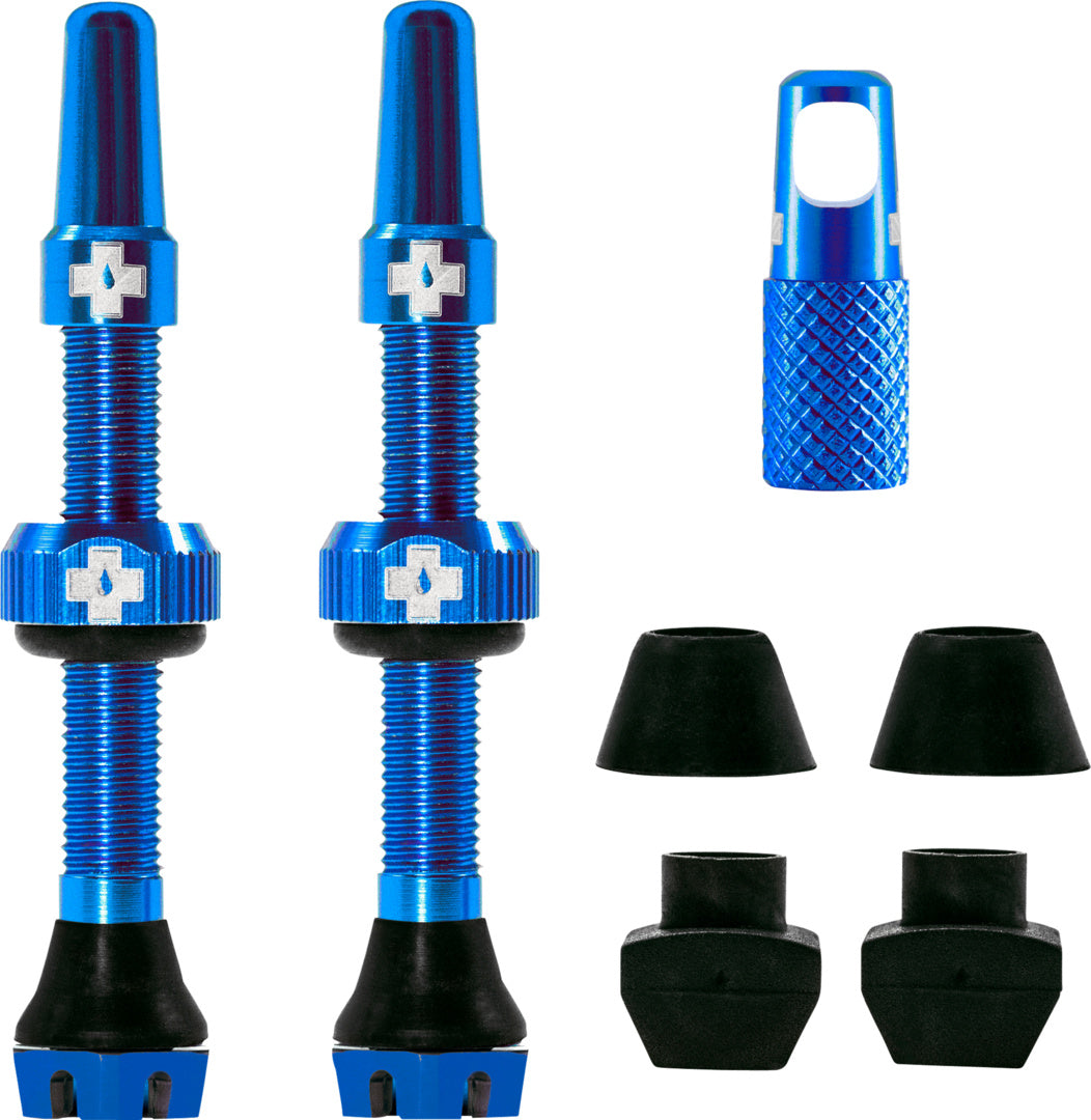 V2 Tubeless Valve Kit /blue