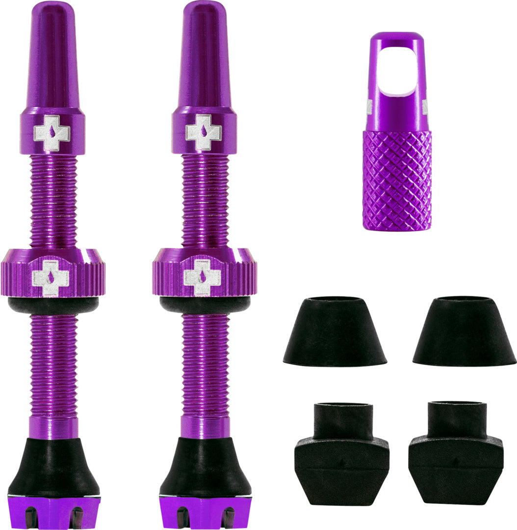 V2 Tubeless Valve Kit /purple