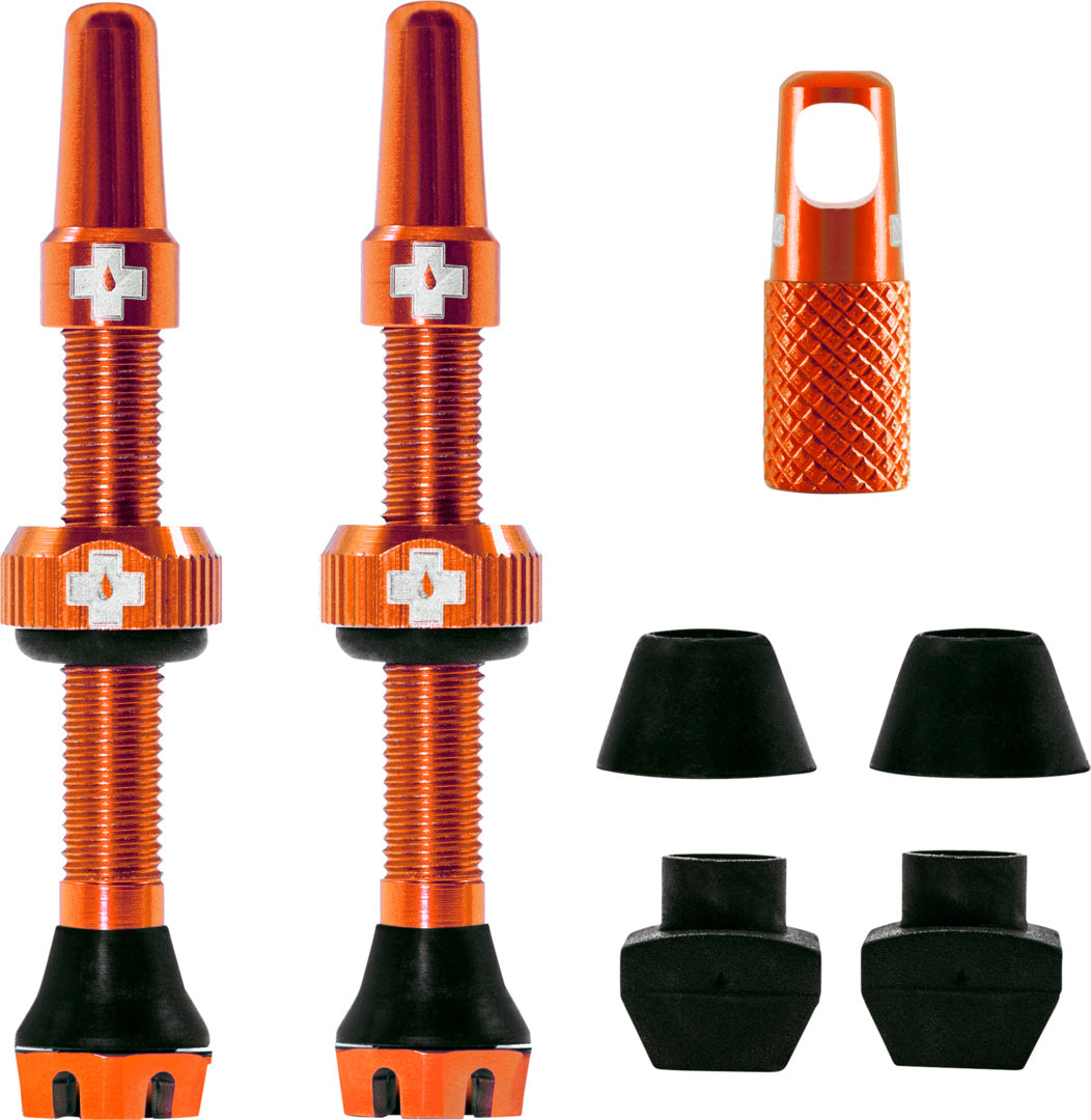 V2 Tubeless Valve Kit /