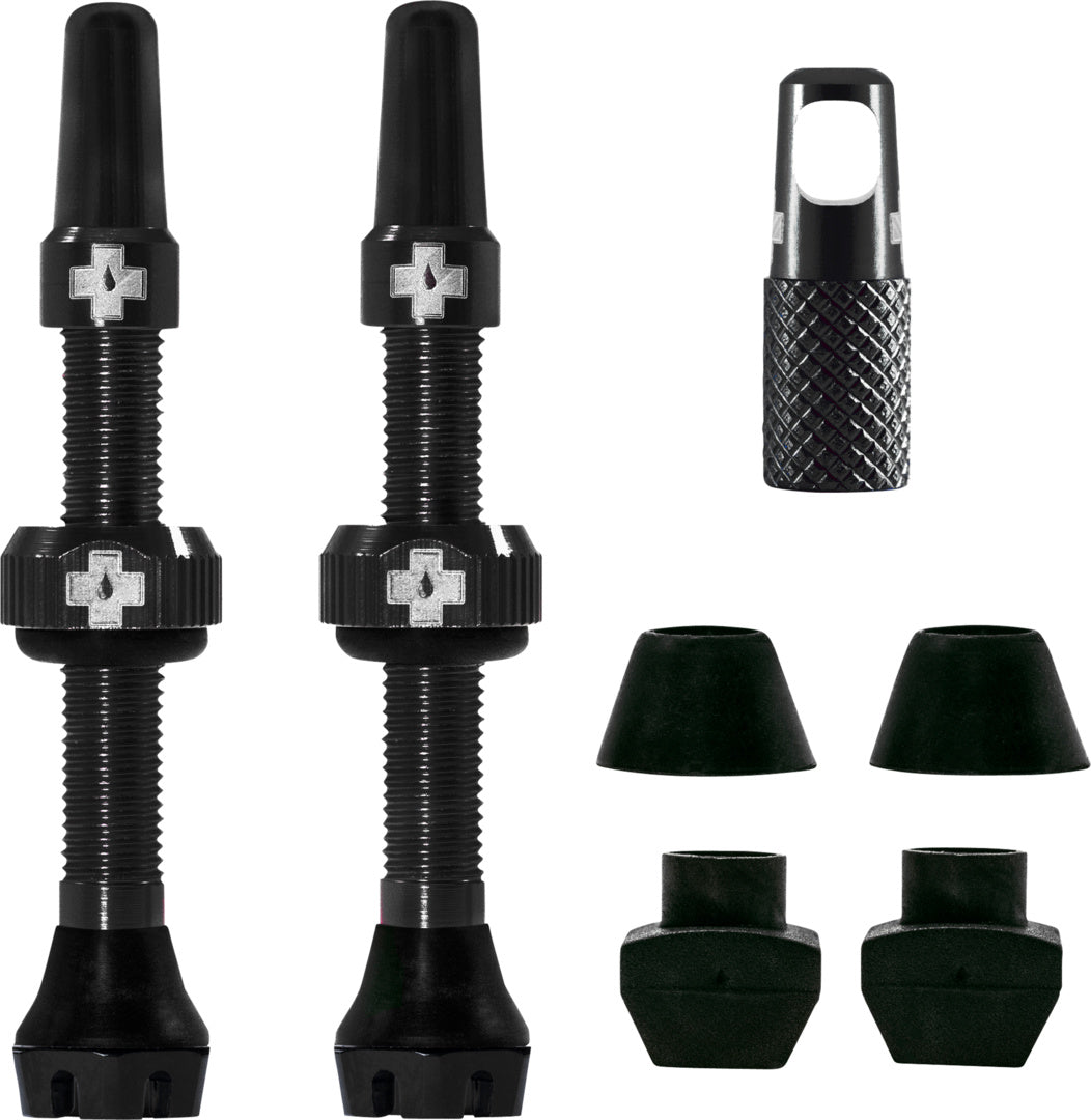 V2 Tubeless Valve Kit /black