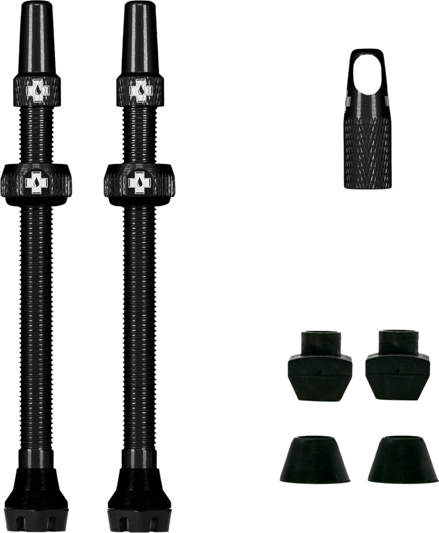 V2 Tubeless Valve Kit /black