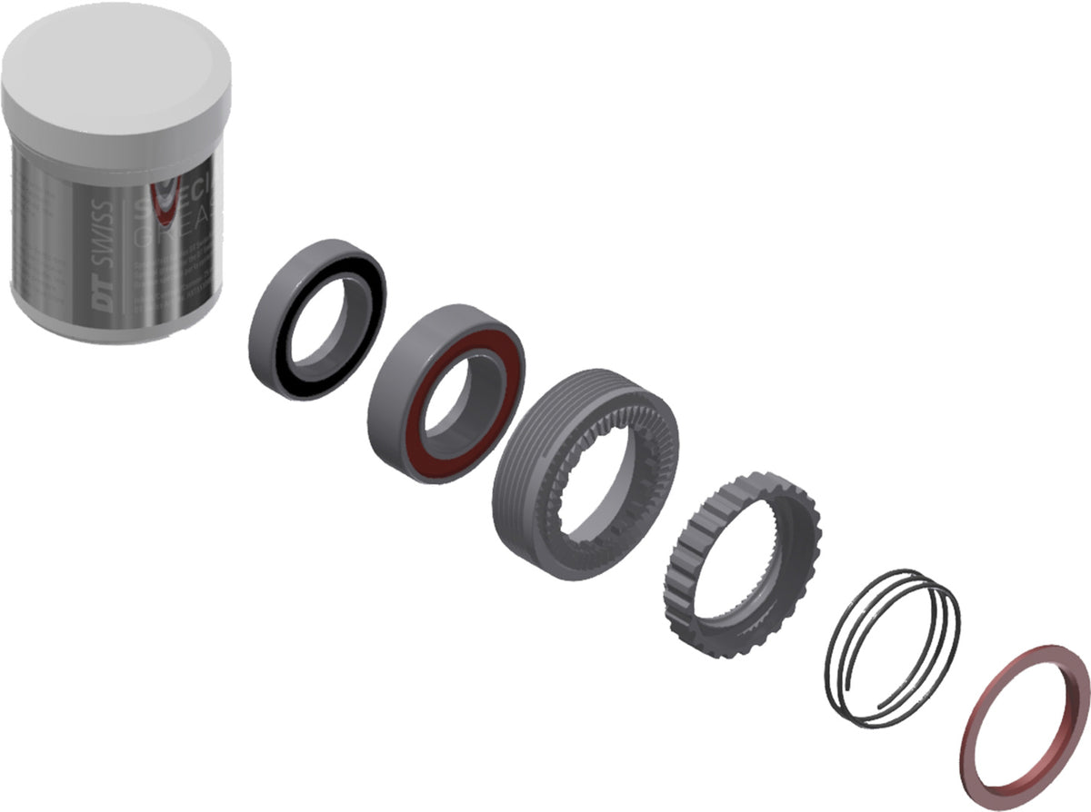 DT Swiss DT Service Kit Ratchet EXP 54T 180 w. Bearing