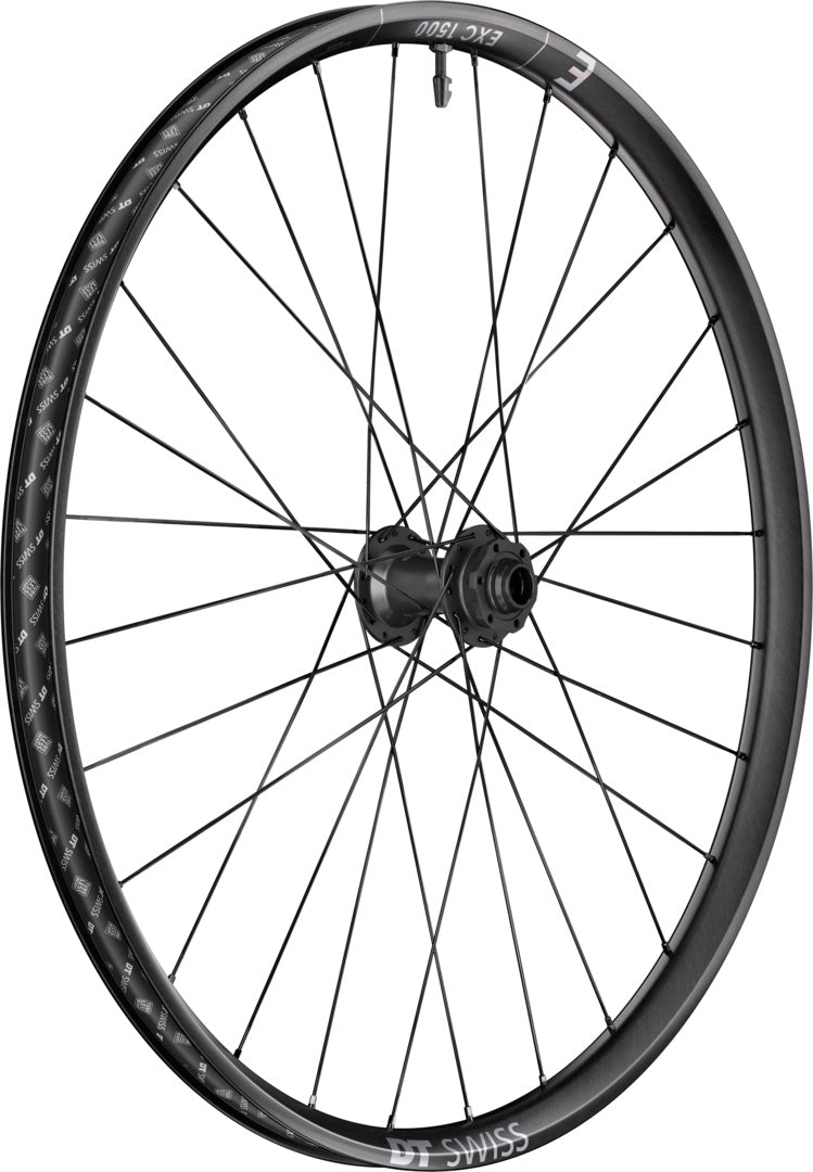 DT Swiss DT EXC 1500 CLASSIC Laufrad 29" IS 30 110/20