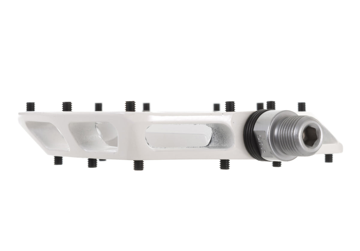 DMR V12. Polished