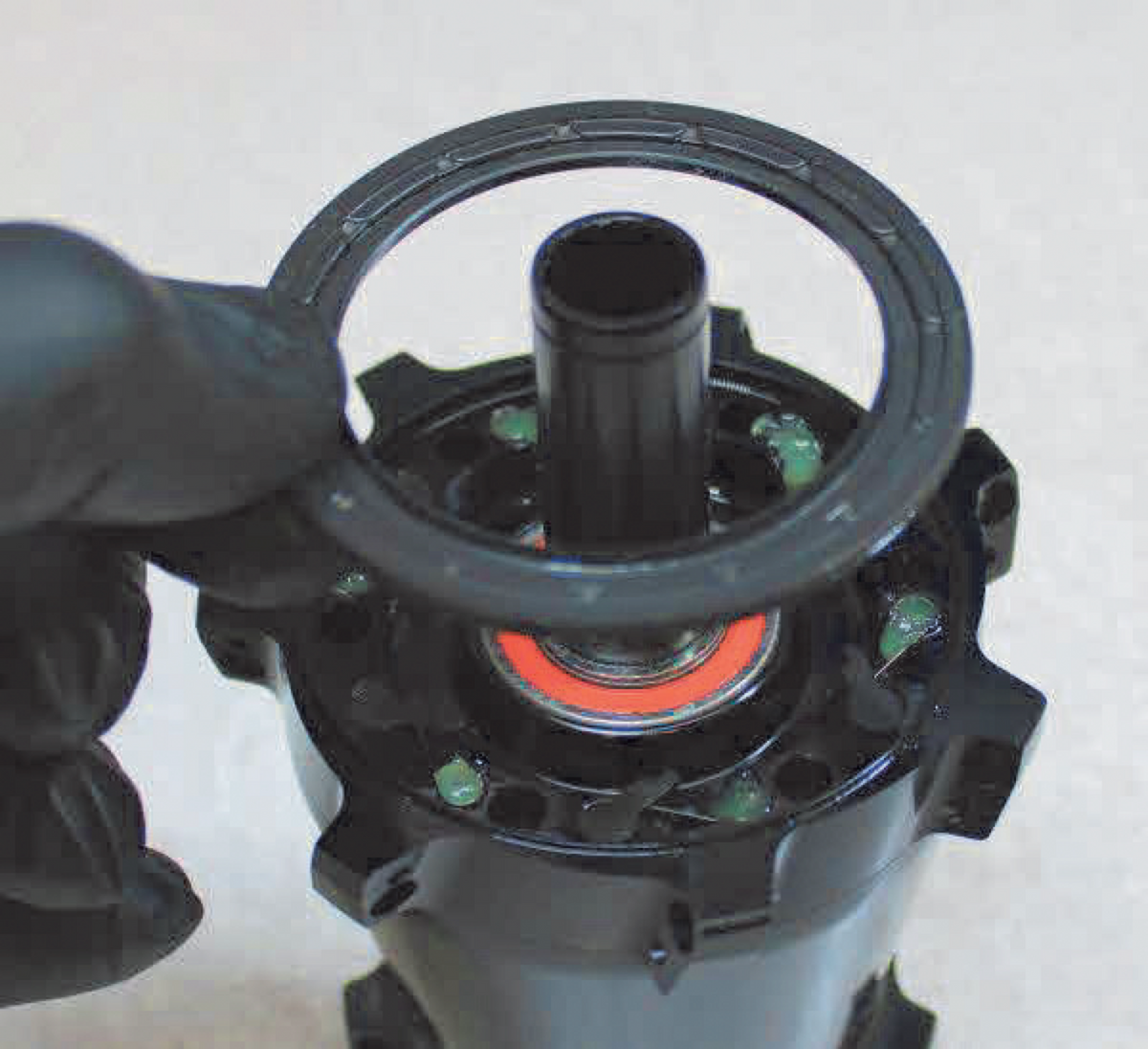 Detailaufnahme