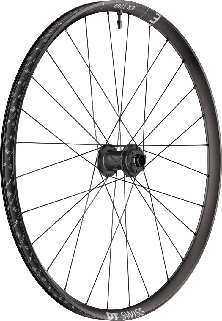 DT Swiss DT EX 1700 CLASSIC Laufrad 29" IS 30 110/20