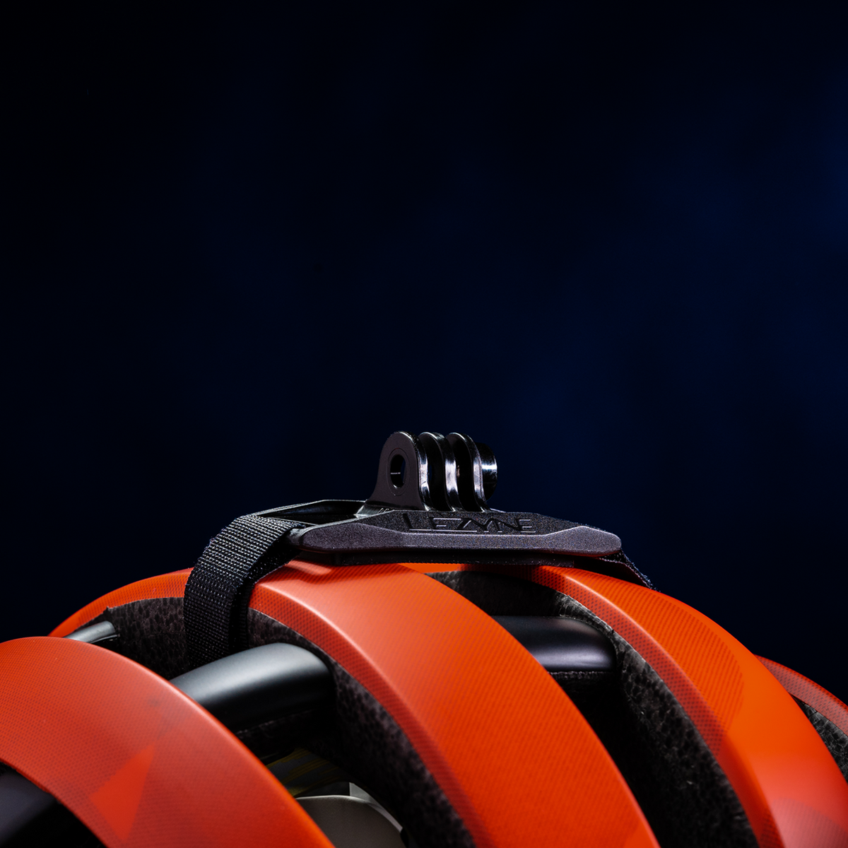 Detailaufnahme