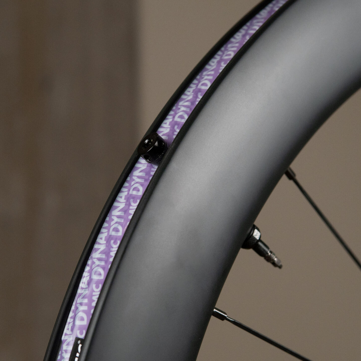 Detailaufnahme