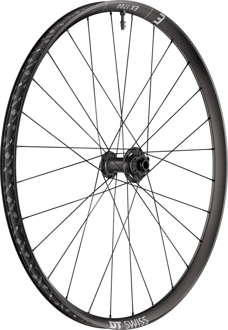 DT Swiss DT EX 1700 CLASSIC Laufrad IS 30 110/15