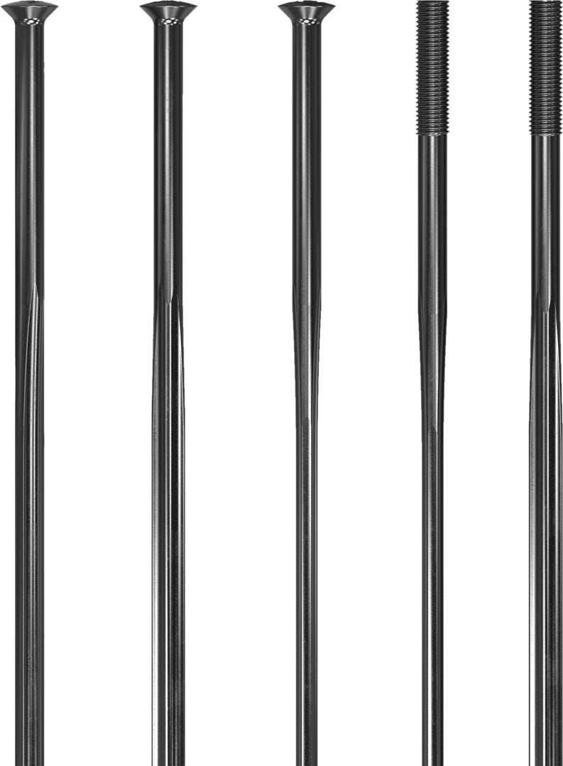 DT Swiss DT Speichen Complite SP 2.0/1.75/2.0x1.3 schwarz 20 St