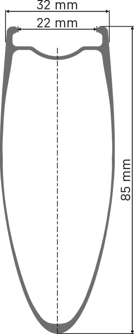 DT Swiss DT ARC 1100 DICUT Laufrad CL 85 100/12