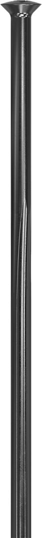 DT Swiss DT Speichen Complite SP 2.0/1.75/2.0x1.3 schwarz 20 St