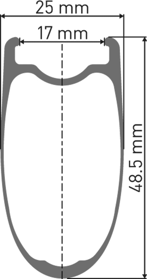 DT Swiss DT ARC 1100 DICUT Laufrad RB 48 100/5