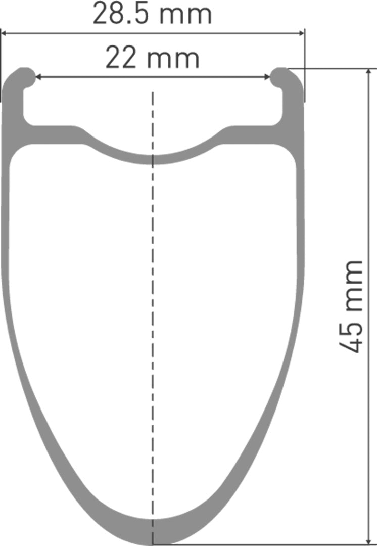 DT Swiss DT ERC 1100 DICUT Laufrad CL 45 100/12
