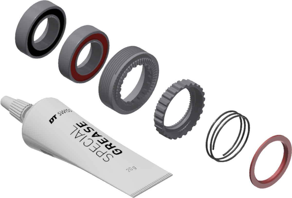 DT Swiss DT Service Kit Ratchet EXP 54T 240 w. Bearing