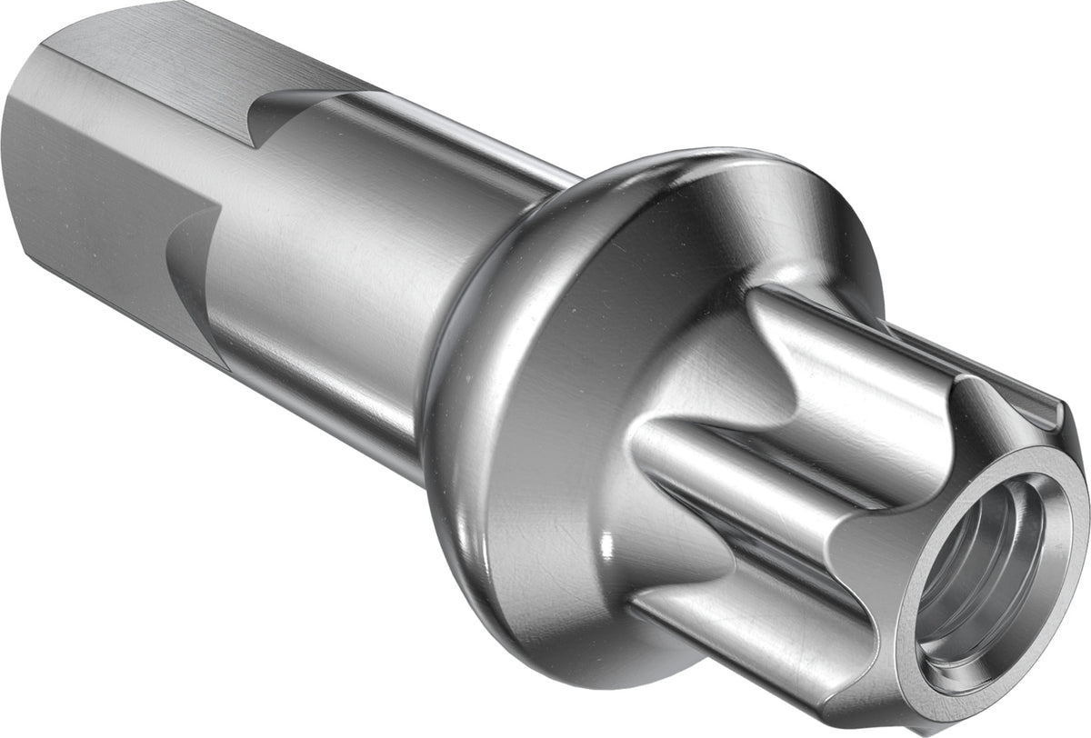 DT Swiss DT Nippel Squorx Alu PL 2.0silber, 100Stk.