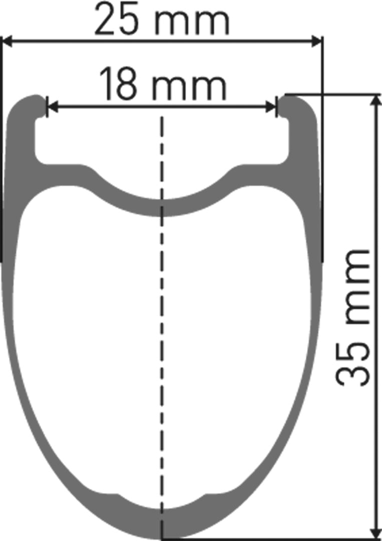DT Swiss DT PRC 1400 SPLINE Laufrad RB 35 100/5