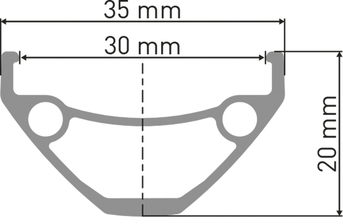 DT Swiss DT D 1900 CLASSIC Laufrad 26" 110/20