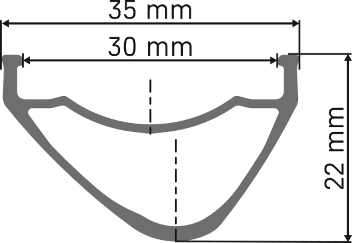 DT Swiss DT EX 1700 CLASSIC Laufrad IS 30 148/12 MS DEG 72 DF
