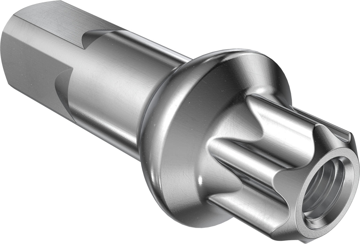 DT Swiss DT Nippel Squorx Messing PL 2.0silber, 100Stk.