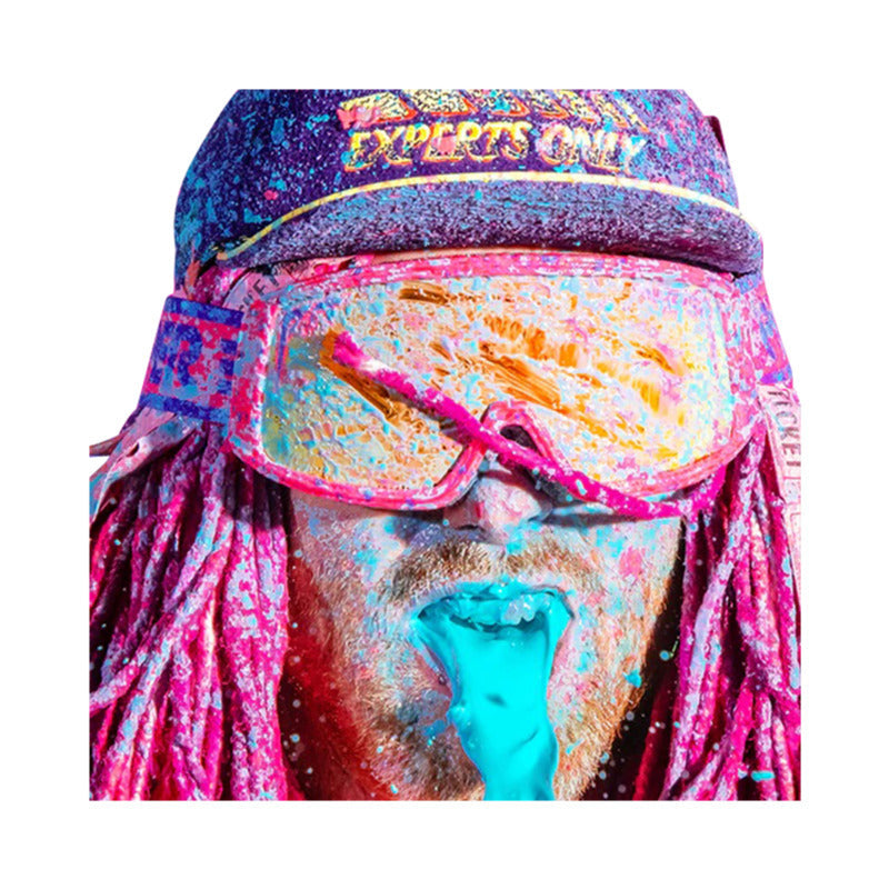 The Gogglés The Radical