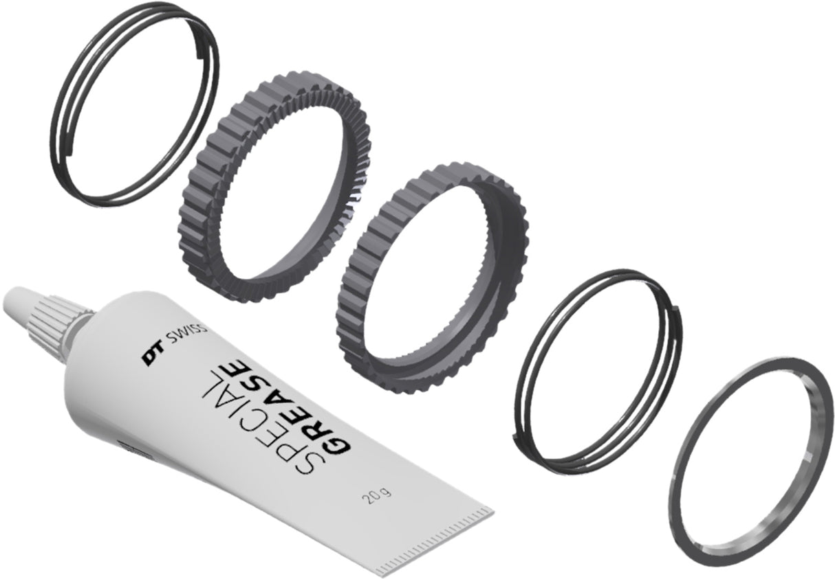 DT Swiss DT Service Kit Ratchet DEG 72T
