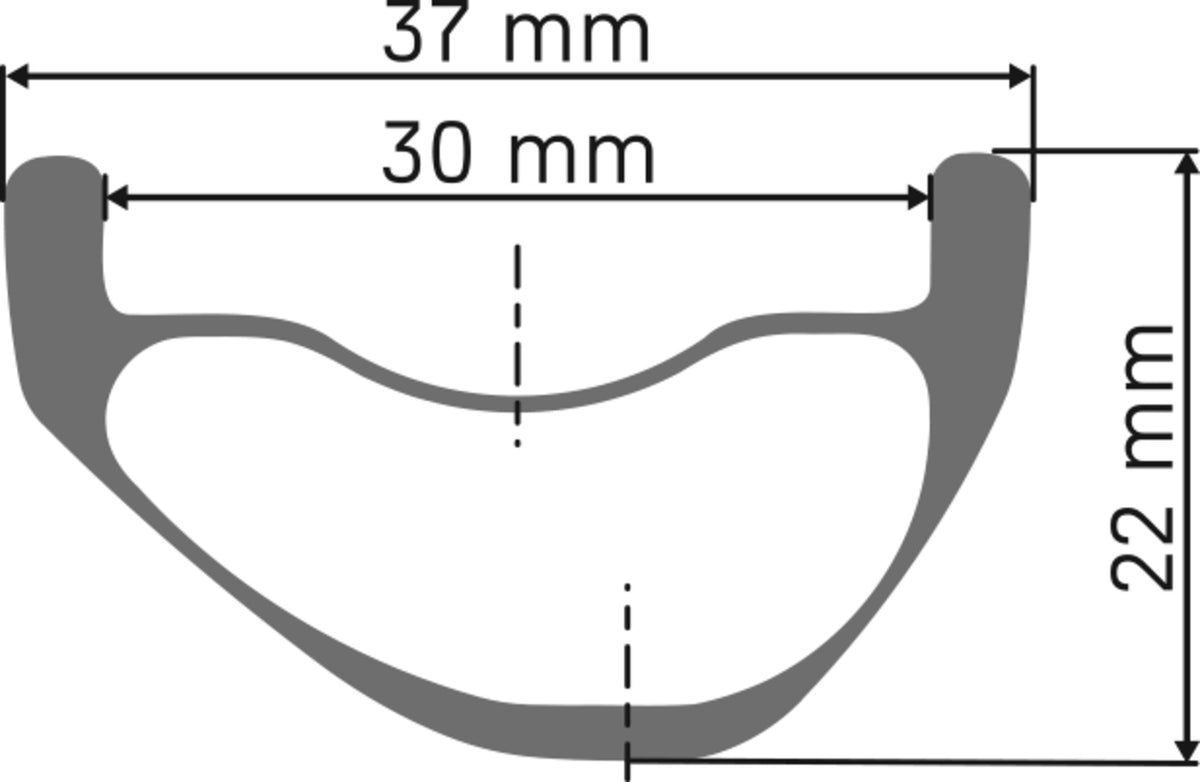 DT Swiss DT XMC 1500 SPLINE Laufrad CL 30 110/15