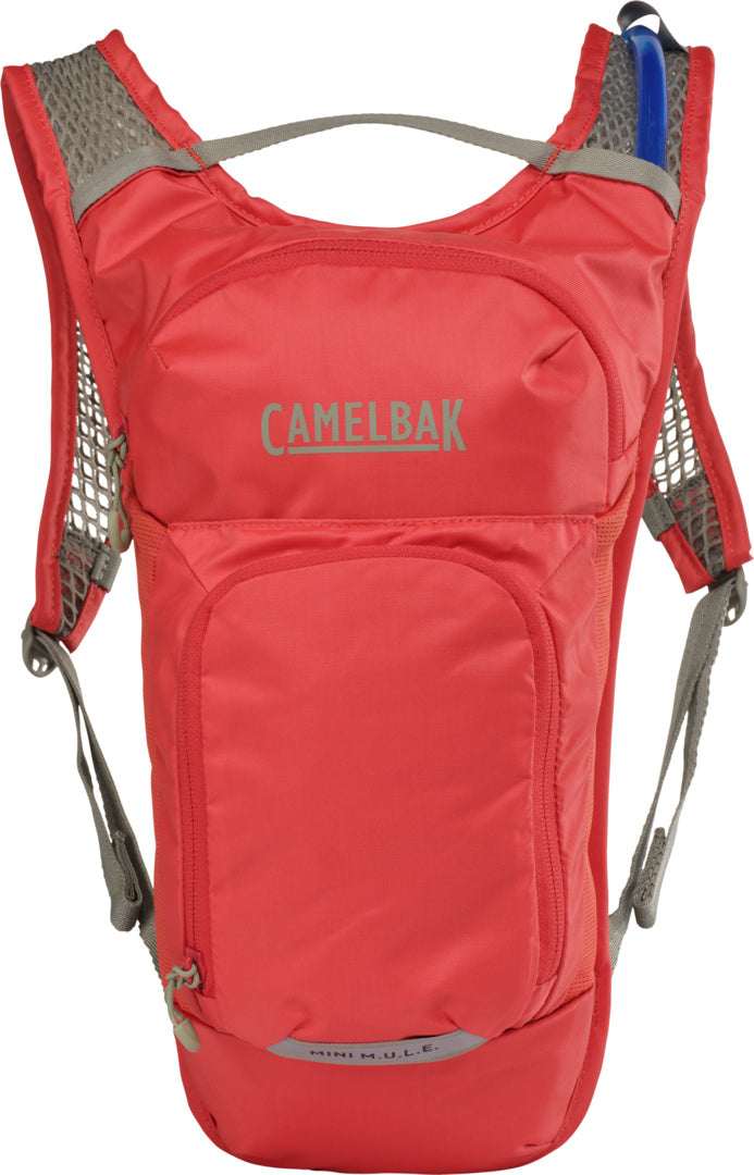 CamelBak mini M.U.L.E berry
