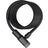 ABUS Spiralkabelschloss Primo 5510K/180 schwarz schwarz