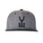 BikeYoke Base Cap Grey