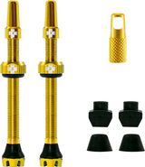 V2 Tubeless Valve Kit /gold
