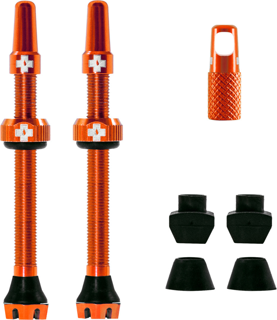 V2 Tubeless Valve Kit /