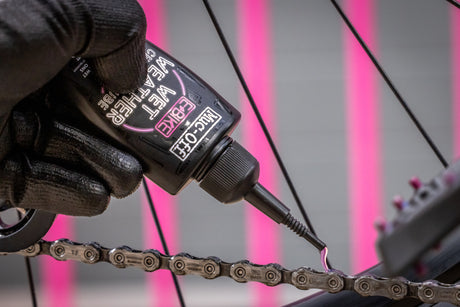 eBike Wet Lube