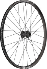 DT Swiss DT EX 1700 CLASSIC Laufrad 29" IS 30 110/20