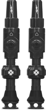 Schlauchlose Ventile Big Bore Lite