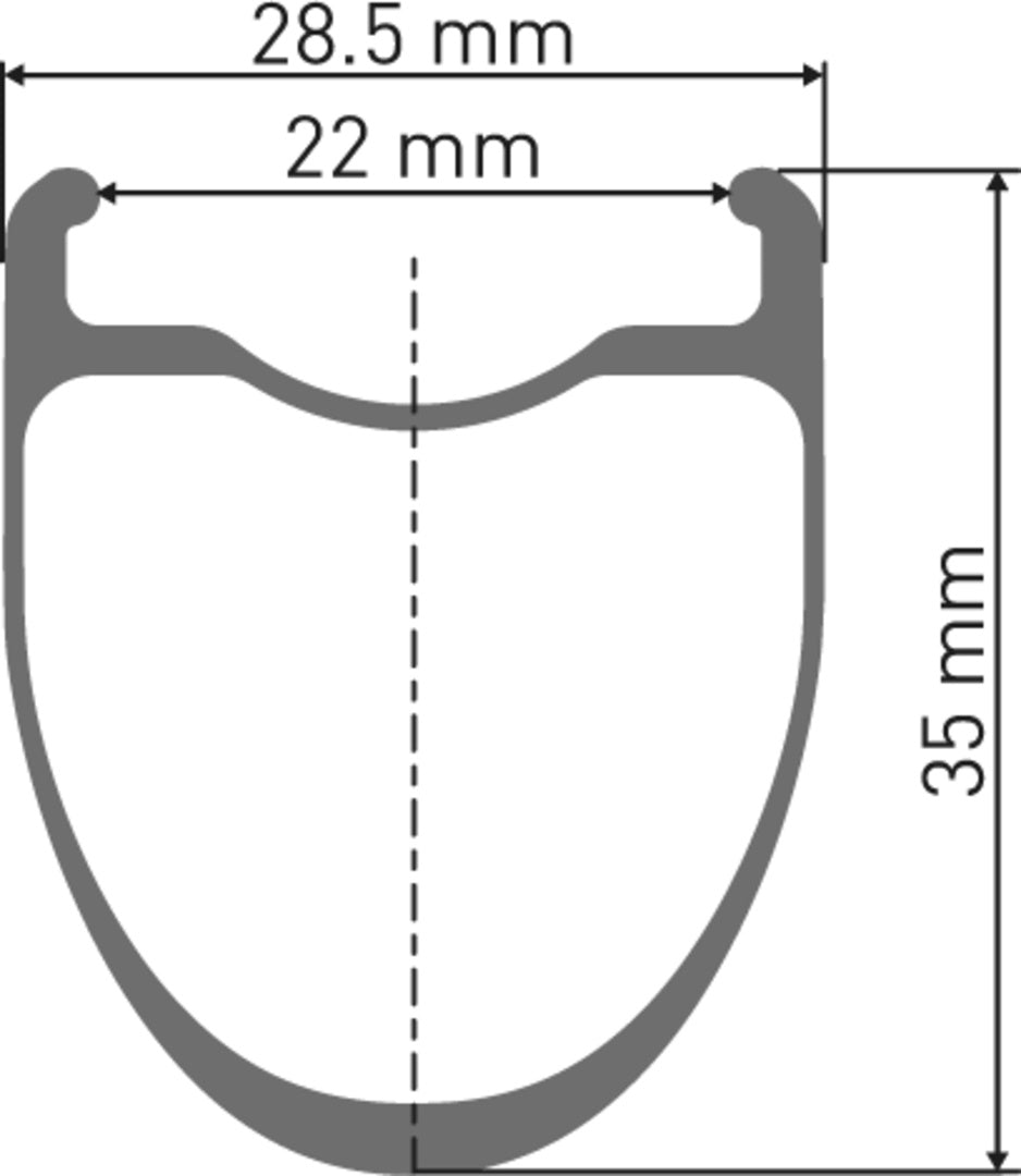 DT Swiss DT ERC 1400 DICUT Laufrad CL 35 100/12 WTS