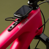 Detailaufnahme
