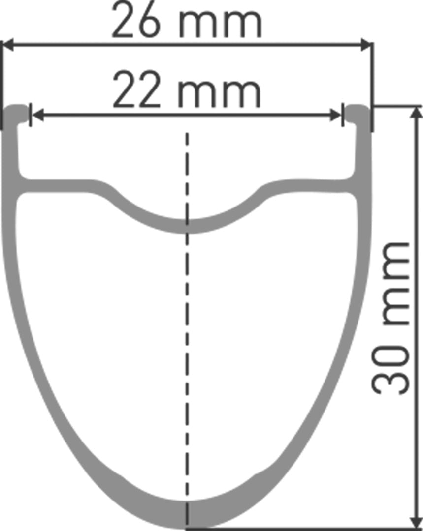 DT Swiss DT E 550 Felge DB 22