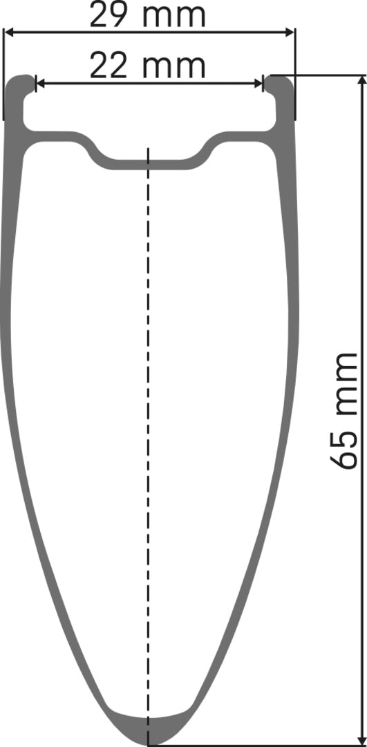 DT Swiss DT ARC 1400 DICUT Laufrad CL 65 100/12