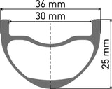 DT Swiss DT EXC 1501 SPLINE Laufrad 29" IS 30 110/20