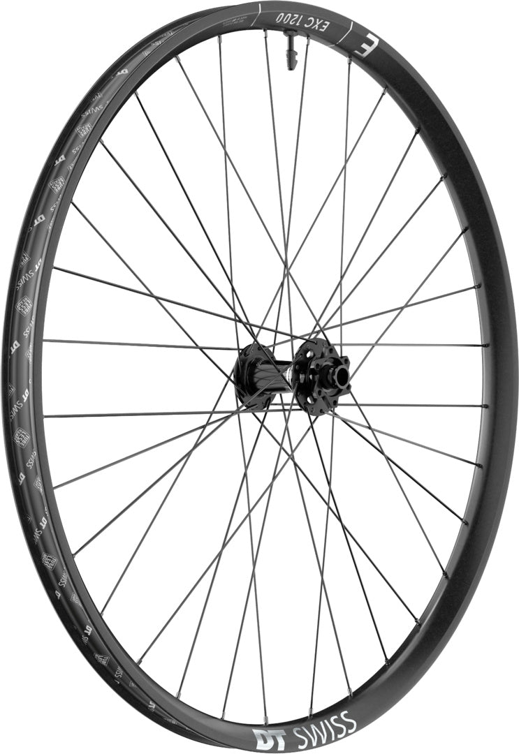 DT Swiss DT EXC 1200 CLASSIC Laufrad 29" IS 30 110/20
