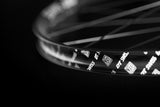 DT Swiss DT Felgenband Tubeless Ready 66m schwarz