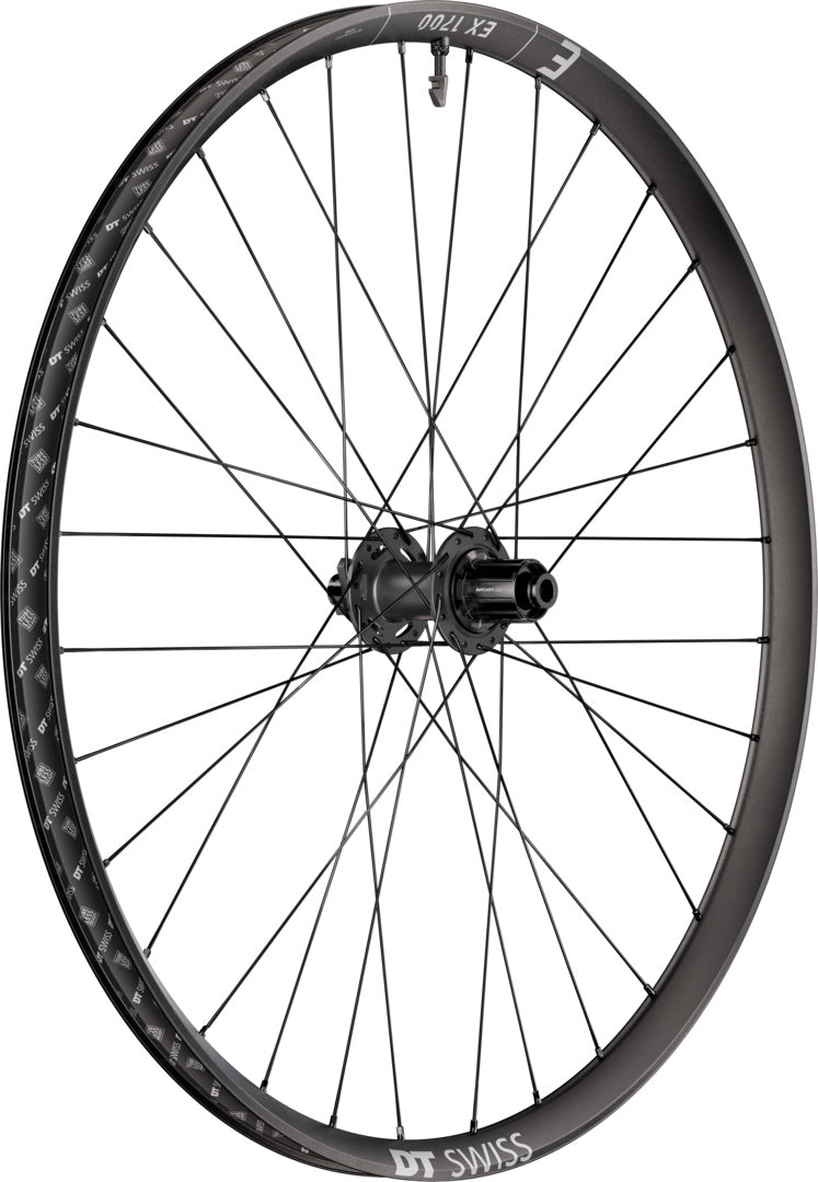 DT Swiss DT EX 1700 CLASSIC Laufrad IS 30 157/12 HG DEG 72 DF