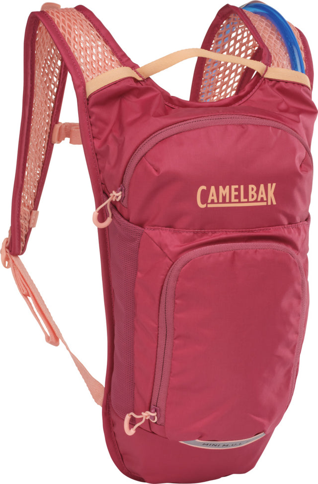 CamelBak Kids' Mini M.U.L.E. 5